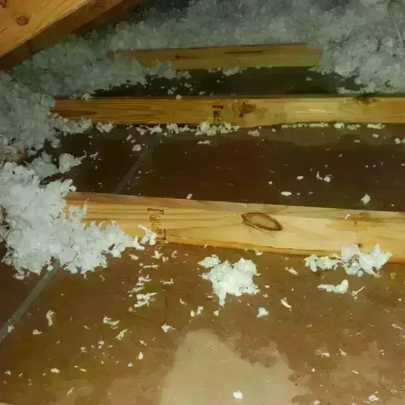 Attic Water Damage in Lansing, IL