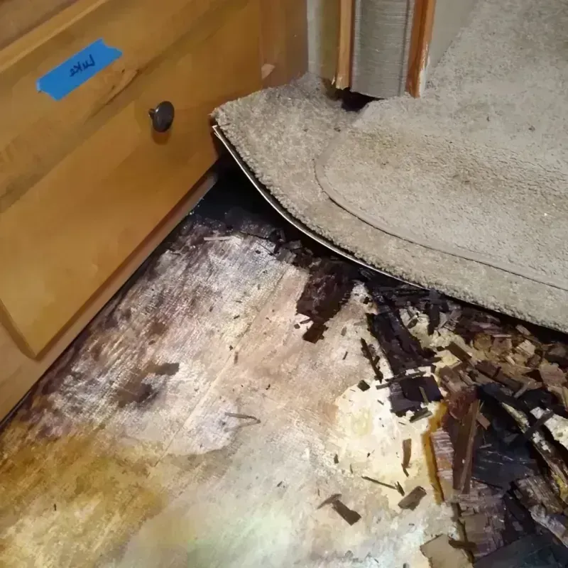 Wood Floor Water Damage in Lansing, IL